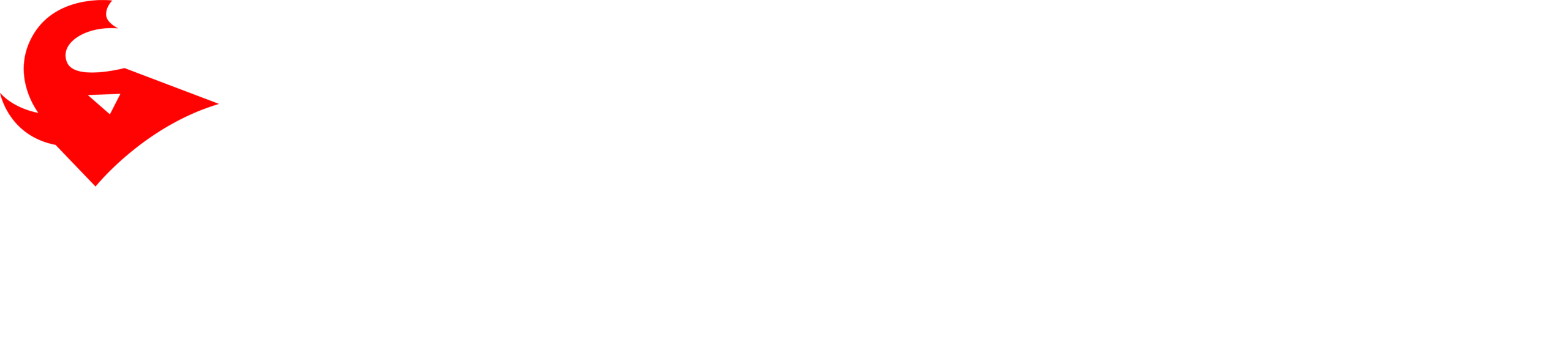 PSI Nusa Tenggara Barat