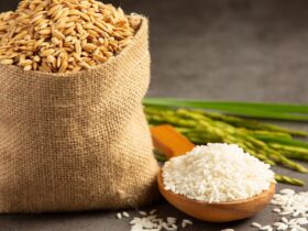 Harga Beras Naik: Penyebab, Dampak, Solusi, dan Strategi Menghadapi Kenaikan Harga Pangan
