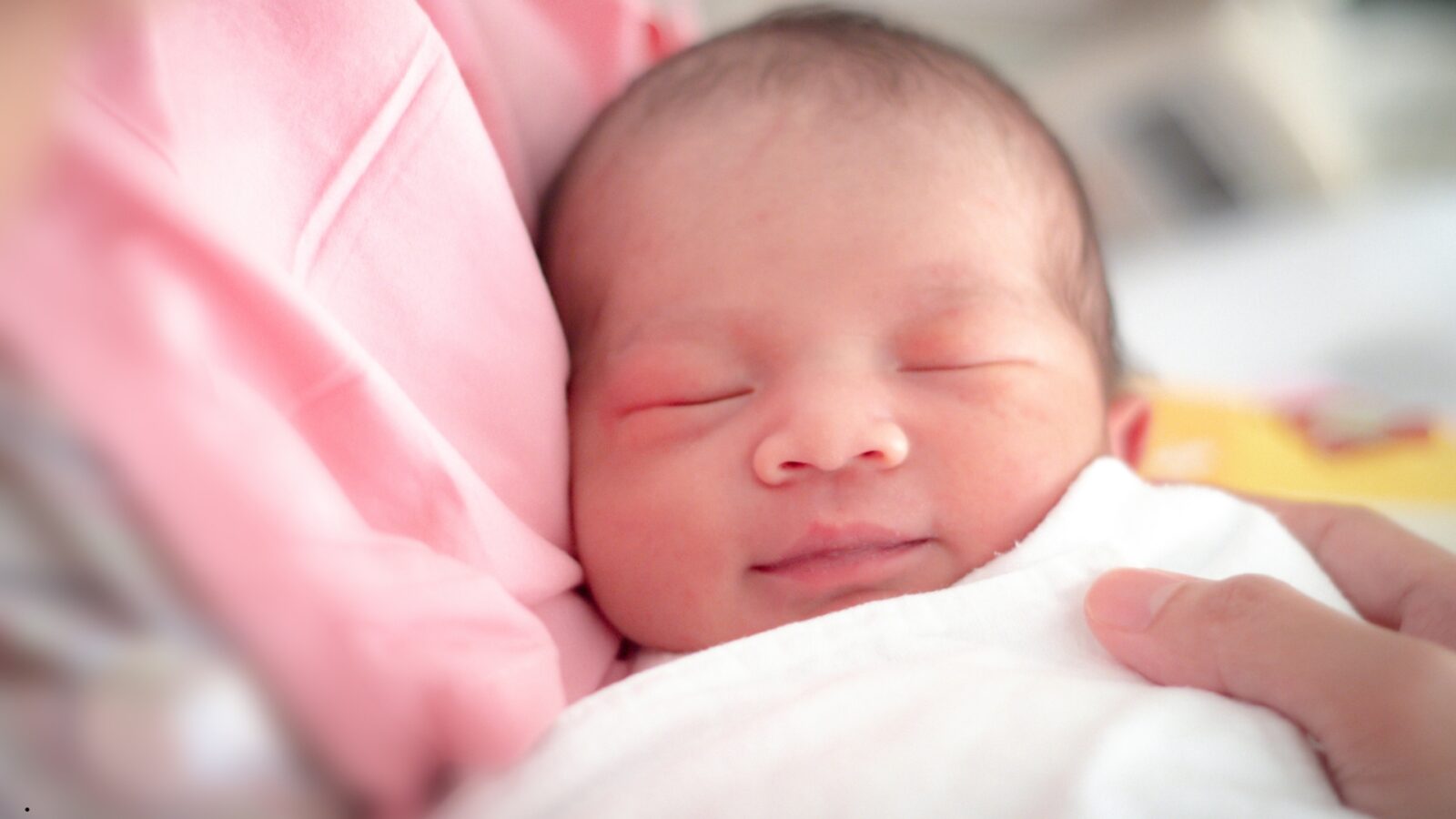 Bayi Baru Lahir: Panduan Lengkap Perawatan, Kesehatan, dan Adaptasi Awal
