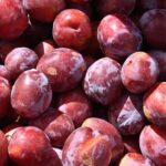 Buah Ceri: Manfaat, Kandungan Nutrisi, dan Cara Mengonsumsinya dengan Tepat