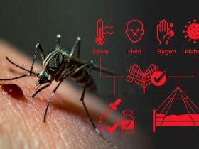 Malaria Disebabkan oleh Apa Penularan, Gejala dan Pencegahannya